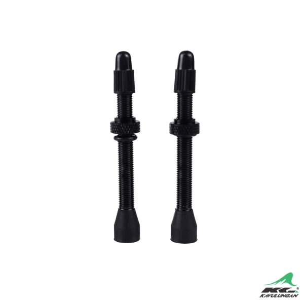 車身商品無內胎氣嘴_210813_3